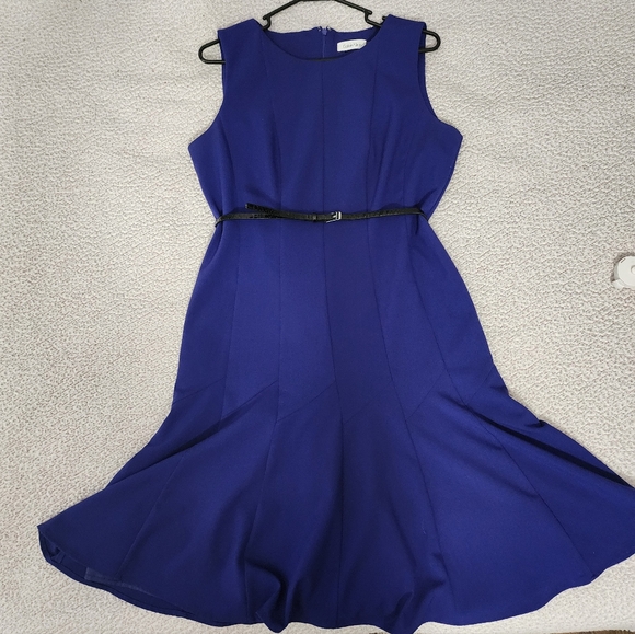 Calvin Klein Beautiful Blue Belted Sleeveless Pleated Dress - Picture 12 of 16